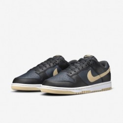 Chaussures Nike Dunk Low Retro pour homme (DV0831-005, noir/anthracite/sésame)