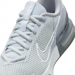 Chaussures d'entraînement Nike Air Max Alpha Trainer 6 pour homme (FQ1833-002, gris froid/gris loup/platine pur/blanc)