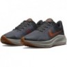 Chaussures de course Nike pour hommes