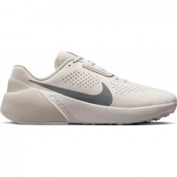 Chaussures d'entraînement Nike Air Zoom TR 1 pour homme (DX9016-009, os clair/monarque/gris fumée)