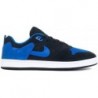 Nike Sb Alleyoop Chaussure de skate pour hommes Cj0882-004